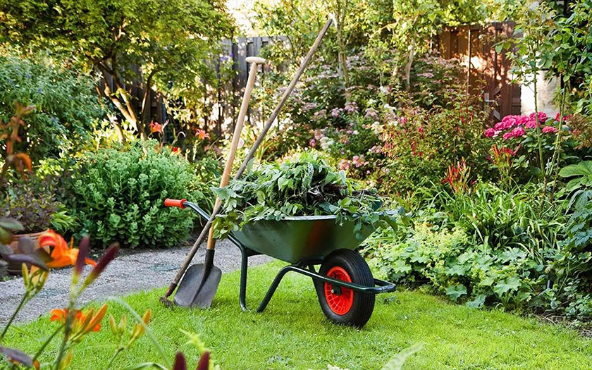 Wheelbarrow-in-Garden.jpg